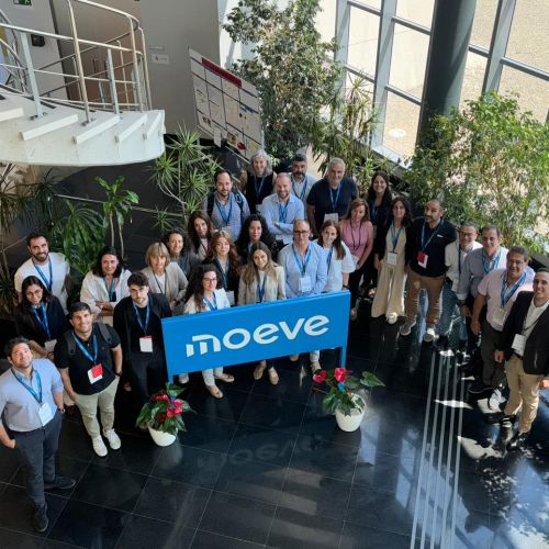 Moeve